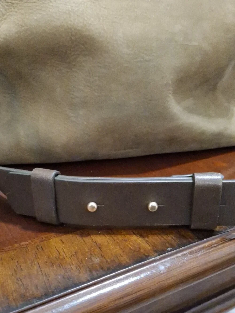 Skagen Leather Crossbody Bag in Olive with Dark Brown Adjustable Strap